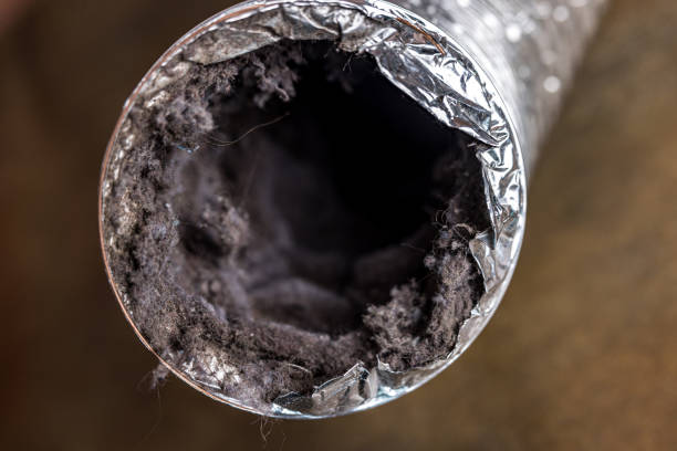 Best Local Air Duct Cleaning Services  in Springville, NY