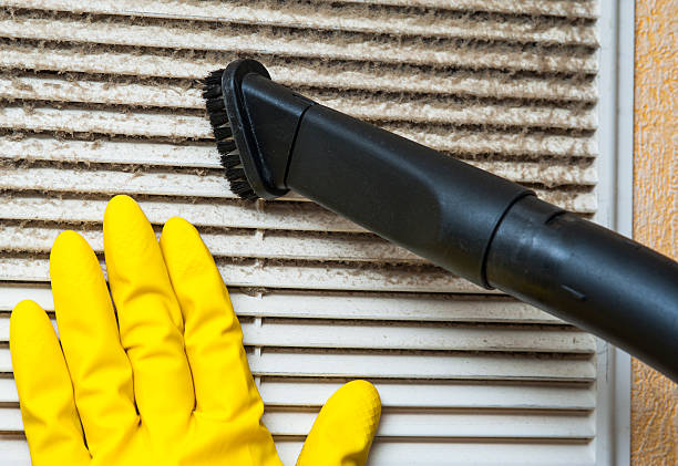 Best Duct Cleaning for Homes  in Springville, NY